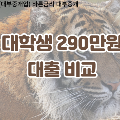 대학생 월변290만원대출 소액290만원대출 개인돈290만원 비대면290만원