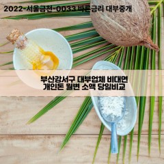 부산강서구대부업체 부산강서구비대면대부업체 대부업체개인돈 부산강서구월변대부업체 부산강서구소액대부업체