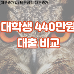 대학생 월변440만원대출 소액440만원대출 개인돈440만원 비대면440만원