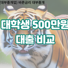 대학생 월변500만원대출 소액500만원대출 개인돈500만원 비대면500만원