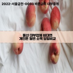 울산대부업체 울산비대면대부업체 대부업체개인돈 울산월변대부업체 울산소액대부업체