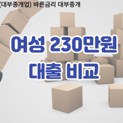 여성 월변230만원대출 소액230만원대출 개인돈230만원 비대면230만원