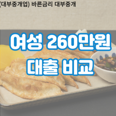 여성 월변260만원대출 소액260만원대출 개인돈260만원 비대면260만원