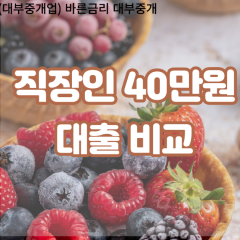 직장인 월변40만원대출 소액40만원대출 개인돈40만원 비대면40만원