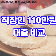 직장인 월변110만원대출 소액110만원대출 개인돈110만원 비대면110만원