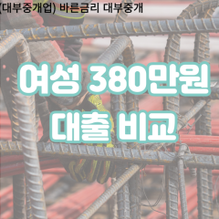 여성 월변380만원대출 소액380만원대출 개인돈380만원 비대면380만원