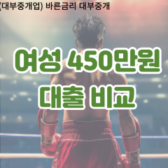 여성 월변450만원대출 소액450만원대출 개인돈450만원 비대면450만원