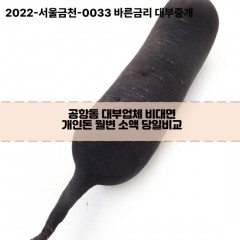 공항동대부대출 공항동비대면대출 강서구대부업체개인돈 공항동월변대부업체 공항동소액월변대출