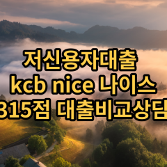 저신용자대출 kcb315점 저신용소액대출 nice315점 저신용비대면대출 나이스315점 신용대출비교상담