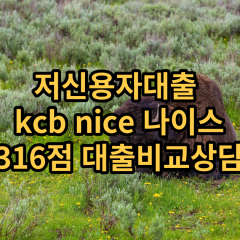 저신용자대출 kcb316점 저신용소액대출 nice316점 저신용비대면대출 나이스316점 신용대출비교상담