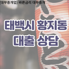 황지동대부업체 황지동비대면대출 태백시대부업체개인돈 황지동월변대부대출 황지동소액대부업체