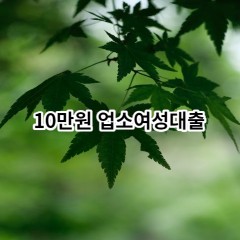 10만원 업소여성대출 급전 당일 소액 일수 월변