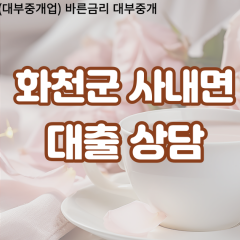 사내면대부업체 사내면비대면대출 화천군대부업체개인돈 사내면월변대부대출 사내면소액대부업체