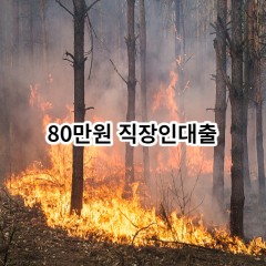 80만원 직장인대출 급전 당일 소액 일수 월변