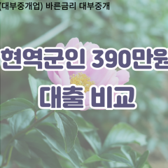 현역군인 비대면390만원대출 개인돈390만원대출 소액390만원 월변390만원