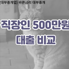 직장인 월변500만원대출 소액500만원대출 개인돈500만원 비대면500만원