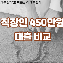 직장인 월변450만원대출 소액450만원대출 개인돈450만원 비대면450만원