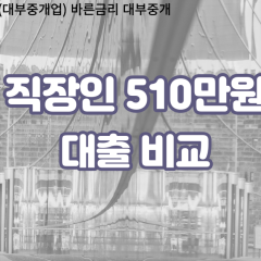 직장인 월변510만원대출 소액510만원대출 개인돈510만원 비대면510만원