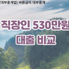 직장인 월변530만원대출 소액530만원대출 개인돈530만원 비대면530만원