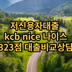 저신용자대출 kcb323점 저신용소액대출 nice323점 저신용비대면대출 나이스323점 신용대출비교상담