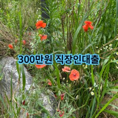 300만원 직장인대출 급전 당일 소액 일수 월변