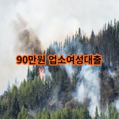 90만원 업소여성대출 급전 당일 소액 일수 월변