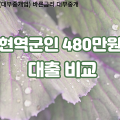 현역군인 비대면480만원대출 개인돈480만원대출 소액480만원 월변480만원