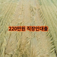 220만원 직장인대출 급전 당일 소액 일수 월변