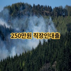 250만원 직장인대출 급전 당일 소액 일수 월변