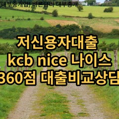 저신용자대출 kcb360점 저신용소액대출 nice360점 저신용비대면대출 나이스360점 신용대출비교상담