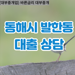 발한동대부업체 발한동비대면대출 동해시대부업체개인돈 발한동월변대부대출 발한동소액대부업체