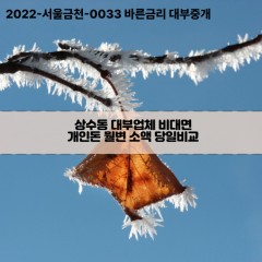 상수동대부대출 상수동비대면대출 마포구대부업체개인돈 상수동월변대부업체 상수동소액월변대출