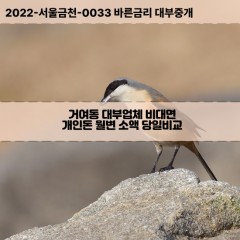 거여동대부대출 거여동비대면대출 송파구대부업체개인돈 거여동월변대부업체 거여동소액월변대출