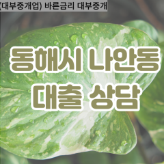 나안동대부업체 나안동비대면대출 동해시대부업체개인돈 나안동월변대부대출 나안동소액대부업체