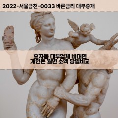 효자동대부대출 효자동비대면대출 종로구대부업체개인돈 효자동월변대부업체 효자동소액월변대출