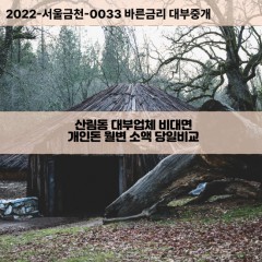 산림동대부대출 산림동비대면대출 중구대부업체개인돈 산림동월변대부업체 산림동소액월변대출