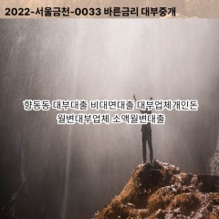 향동동대부대출 향동동비대면대출 고양시덕양구대부업체개인돈 향동동월변대부업체 향동동소액월변대출