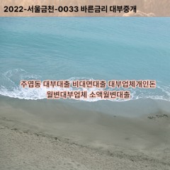 주엽동대부대출 주엽동비대면대출 고양시일산서구대부업체개인돈 주엽동월변대부업체 주엽동소액월변대출