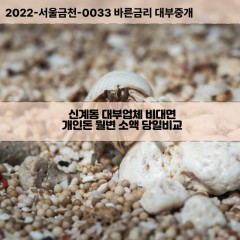 신계동대부대출 신계동비대면대출 용산구대부업체개인돈 신계동월변대부업체 신계동소액월변대출