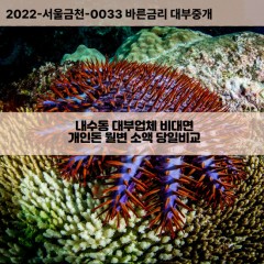 내수동대부대출 내수동비대면대출 종로구대부업체개인돈 내수동월변대부업체 내수동소액월변대출