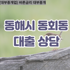 동회동대부업체 동회동비대면대출 동해시대부업체개인돈 동회동월변대부대출 동회동소액대부업체