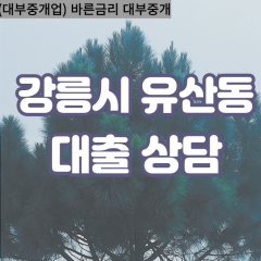 유산동대부업체 유산동비대면대출 강릉시대부업체개인돈 유산동월변대부대출 유산동소액대부업체