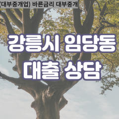 임당동대부업체 임당동비대면대출 강릉시대부업체개인돈 임당동월변대부대출 임당동소액대부업체