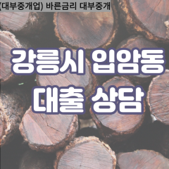 입암동대부업체 입암동비대면대출 강릉시대부업체개인돈 입암동월변대부대출 입암동소액대부업체