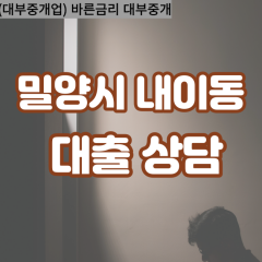 내이동대부업체 내이동비대면대출 밀양시대부업체개인돈 내이동월변대부대출 내이동소액대부업체