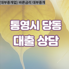 당동대부업체 당동대면대출 통영시대부업체개인돈 당동월변대부대출 당동소액대부업체