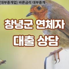 창녕군대부업체 이방면대면대출 창녕군대부업체개인돈 장마면월변대부대출 창녕읍소액대부업체