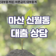 신월동대부업체 신월동대면대출 마산합포구대부업체개인돈 신월동월변대부대출 신월동소액대부업체