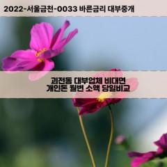 괴전동대부대출 괴전동비대면대출 대구동구대부업체개인돈 괴전동월변대부업체 괴전동소액월변대출