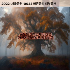 풍도동대부대출 풍도동비대면대출 안산시단원구대부업체개인돈 풍도동월변대부업체 풍도동소액월변대출